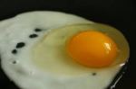egg